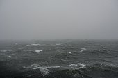 Storm on North Sea, Rotterdam, Netherlands