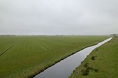 Green fields and polders, Bleskensgraaf, Netherlands