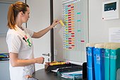 Female nurse arranging schedule in hospital