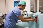 Male surgeon washing hands with disinfectant betadine in operating room