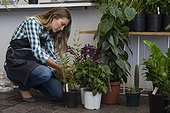 Side profile of a woman arranging plant in her shop