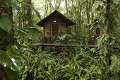 Costa Rica - National Park of Tortuguero - Chalet into rainforest - Tortuguero village