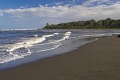 Costa Rica - National Park of Tortuguero - Beach of the Caribbean coast - This is on this long beach who green turtles are nesting during the night