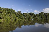 Costa Rica - National Park of Tortuguero - Canal into rainforest