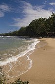 Costa Rica - Caribbean coast - Beach Playa Vargas - National Park of Cahuita