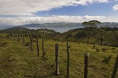 Costa Rica - Fields and Lake Arenal at the east of the village of Aguacate