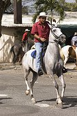 Costa Rica - Liberia - Horse rider during a traditional parade