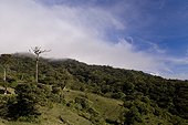 Costa Rica - Biologic reserve of Monteverde