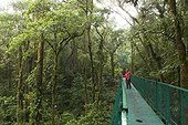 Costa Rica - Biologic reserve Bosque Nuboso Monteverde - Footbridge over rainforest