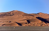 Namibia - Namib Naukluft Park - Sossusvlei - Red Dunes