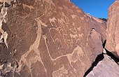 Namibia - Twyfelfontein - petroglyphs / engravings made by bushmen dating back 6000 to 3000 years ago.