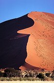 Namibia - Namib Naukluft Park - Red dunes . Some of the tallest dunes in the world