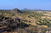 Namibia - Etosha national park - West - For animal reproduction or autorized hunting only.