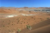 Namibia - Namib Naukluft park - Landscape of red dunes at Sossusvlei