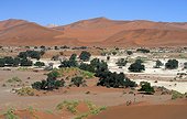 Namibia - Namib Naukluft Park - Dunes in Sossusvlei