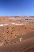 Namibia - Namib Naukluft park - Landscape of red dunes in Sossusvlei