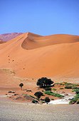 Namibia - Namib Naukluft park - Red dune in Sossusvlei