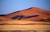 Namibia - Namib Naukluft park - Some of the highest dunes in the world