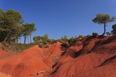 France, Provence, Roussillon, Ochre cliff, landscape, red ochre cliff