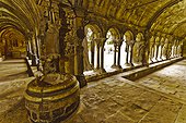France, Arles, St Trophime, The cloister, interior