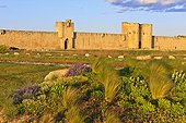 France, Camarque, Aigues-Mortes, City walls