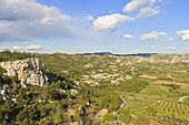 France, Provence, Les Alpilles, landscape