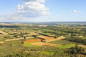 France, Provence, Les Alpilles, landscape