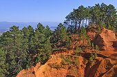 France, Provence, Rustrel, Ochre cliff, landscape