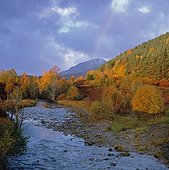 Rocky river and autumn trees in rural landscape