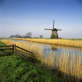 Windmill and wheatfield along rural river