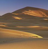 Sand dunes in rural landscape
