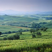 Rolling hills in rural landscape