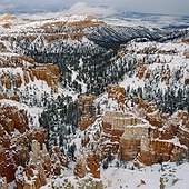 Trees and rock formations in snowy landscape