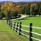 Wooden fence along rural pasture