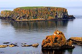 Northern Ireland, Carrick-a-Rede, Larry Bane bay, Sheep island