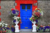 Ireland, County Louth, near Drogheda, door