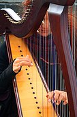 Ireland, harpist
