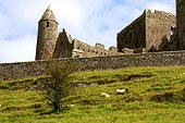 Ireland, county Tipperary, Rock of Cashel