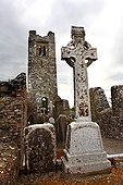 Ireland, County Meath, Slane abbey