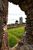 Ireland, County Meath, Slane abbey