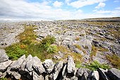 Ireland, the Burren