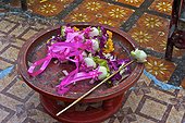 Thailande, Chiang Mai, wat phrathat doi suthep, fleurs de lotus