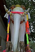 Thailande, Chiang Mai, wat phrathat doi suthep, statue d'éléphant blanc