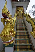 Thailande, Chiang Mai, wat phrathat doi suthep, escalier