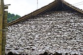 Thailande, Chiang Mai, village hmong, toit en feuille