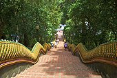 Thailand, Chiang Mai, wat phrathat doi suthep, stairs