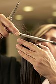 Hair stylist cutting clients hair