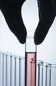 Nitrile-gloved hand picking up a test tube with red solution out of several empty test tubes