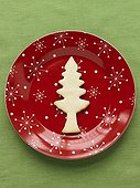 Christmas cookie on a plate