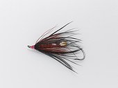 Sea Trout fishing Fly